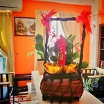 Amt Budget Hotel